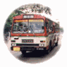 Public Bus